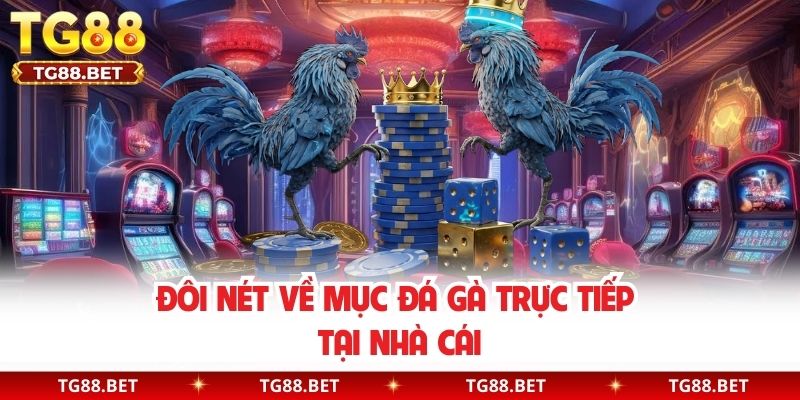 Đôi nét về mục đá gà trực tiếp tại nhà cái